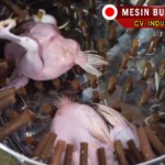 mesin pencabut bulu ayam