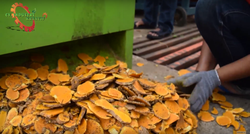 Hasil Rajangan Kunir dengan ketebalan seragam Hasil Rajangan Kunir dengan ketebalan seragam