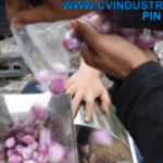 hasil irisan bawang 1